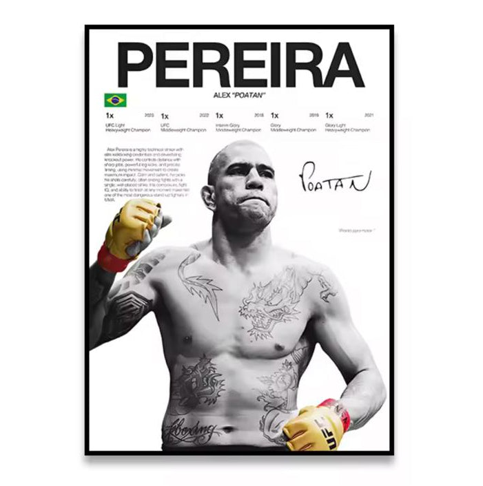 ALEX PEREIRA POSTER
